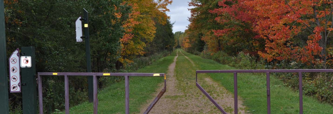 Confederation Trail in fall